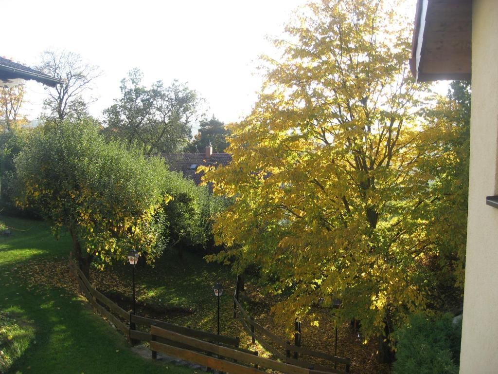 Hotel Landhaus Silbertanne Rotenburg an der Fulda Bagian luar foto